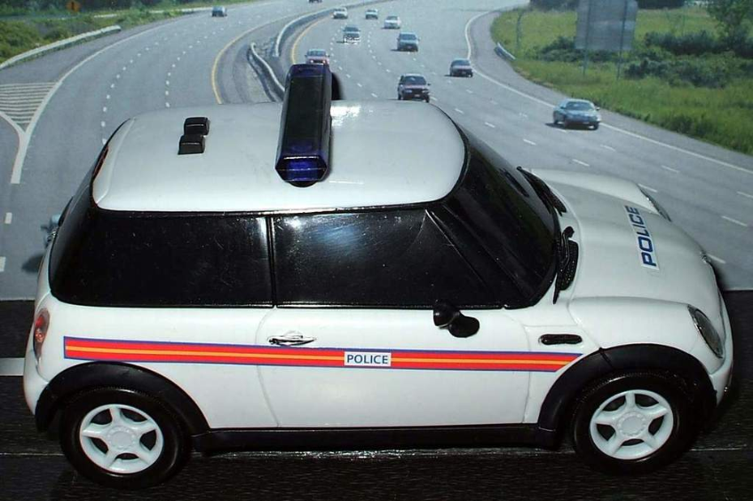 Ein weißer Polizeiwagen parkt vor einer befahrenen Straße mit fahrenden Fahrzeugen, umgeben von Gras und Bäumen in einer ländlichen Umgebung.