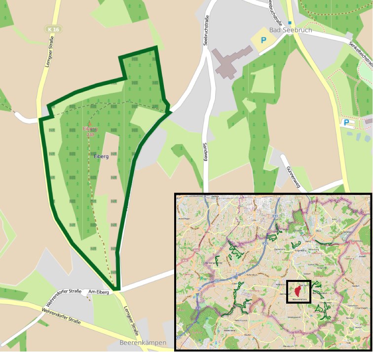 Ein detaillierter Stadtplan mit einem zentralen grünen Bereich, der für die geplante Entwicklung markiert ist, umgeben von Straßen, Gebäuden und Sehenswürdigkeiten.