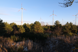 Ein Windkraftanlagenfeld in einer verschneiten Landschaft umgeben von Bäumen und Pflanzen, mit einem klaren Himmel im Hintergrund.