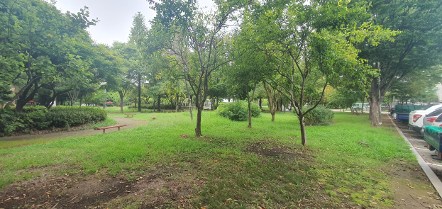 Ein Park mit Bäumen, Pflanzen, Gras, Bänken, trockenen Blättern auf dem Boden, Fahrzeugen auf der Straße, Gebäuden und einem Himmel im Hintergrund, mit einem Parkplatz mit parkenden Autos.