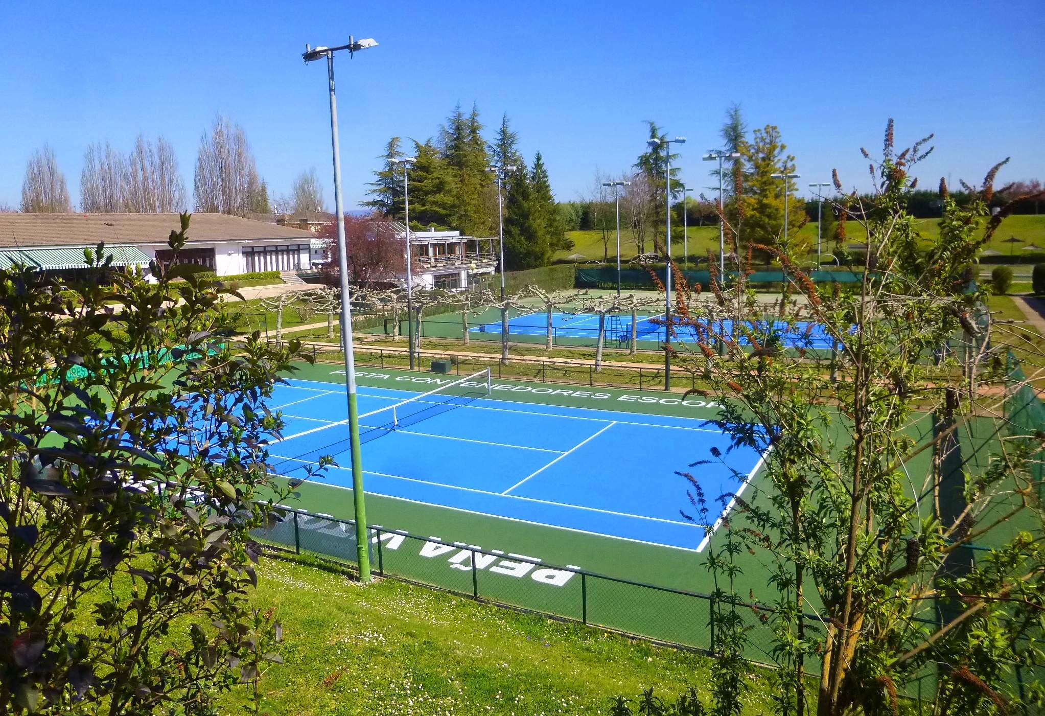 Tennisplatz mit Netz, umgeben von grünem Gras, B├Ąumen, Geb├Ąuden und Laternen unter einem klaren blauen Himmel.