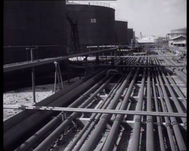 Black and white photo of a large group of pipes arranged in a neat line in a factory, with buildings and a clear sky in the background, and text at the top and bottom.