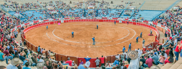 Eine große Menschenmenge schaut bei einem Stierkampf in einer Arena zu, wobei einige Menschen stehen, sitzen und Gegenstände halten, während eine Person mit Hut unten sichtbar ist.