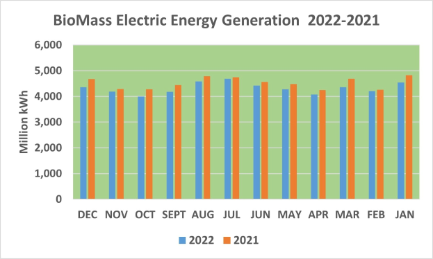 Diagramm, das die Stromerzeugung aus Biomasse von 2021 bis 2022 zeigt, mit begleitendem Text.