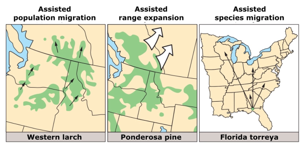 A poster featuring a U.S. map illustrating types of assisted population migration, accompanied by explanatory text.