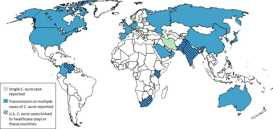 World map with blue and green shading indicating coronavirus case counts per country, accompanied by explanatory text on the left.