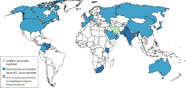 World map with blue and green shading indicating coronavirus case counts per country, accompanied by explanatory text on the left.