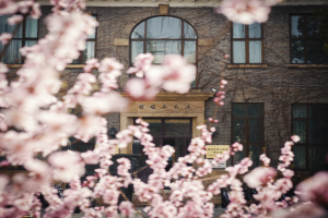 Ein Gebäude mit Glasfenstern umgeben von Kirschblüten im Vollblüte.