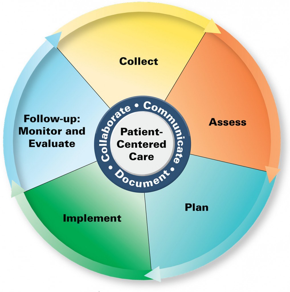 Kreisförmige Diagramm mit der Überschrift "patientenorientierte Pflege" und vier farbigen Abschnitten, jeweils mit einem spezifischen Pflegebereich beschriftet.