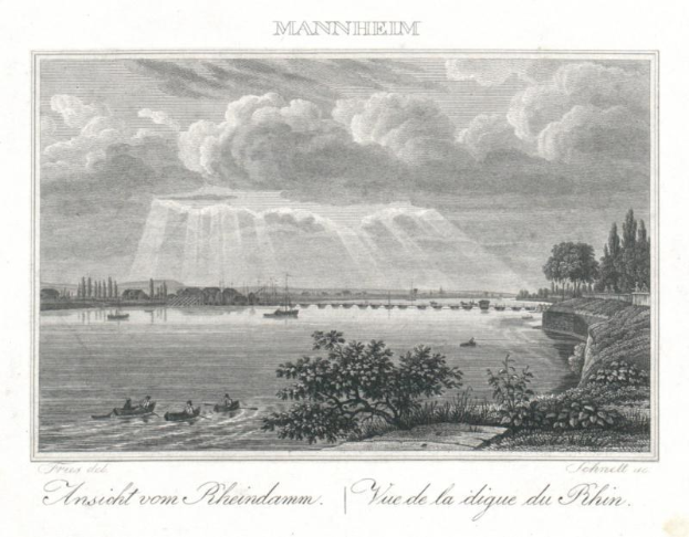 Ansicht des Rheins mit einem Wasserfall im Hintergrund, umgeben von Bäumen und Pflanzen, Booten auf dem Wasser und bewölktem Himmel, mit Text unten.