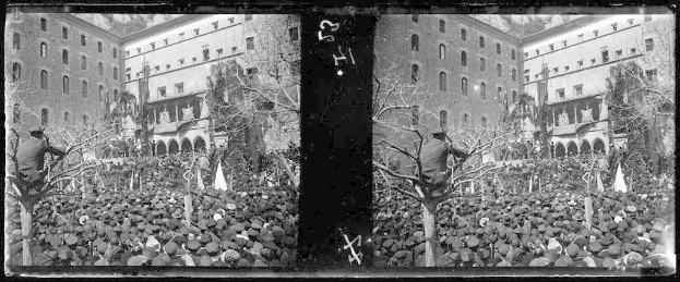 Schwarzes und weißes Foto einer großen Menge, die vor einem Gebäude mit Bäumen und Fahnen protestiert, einige halten Schilder und Transparente.