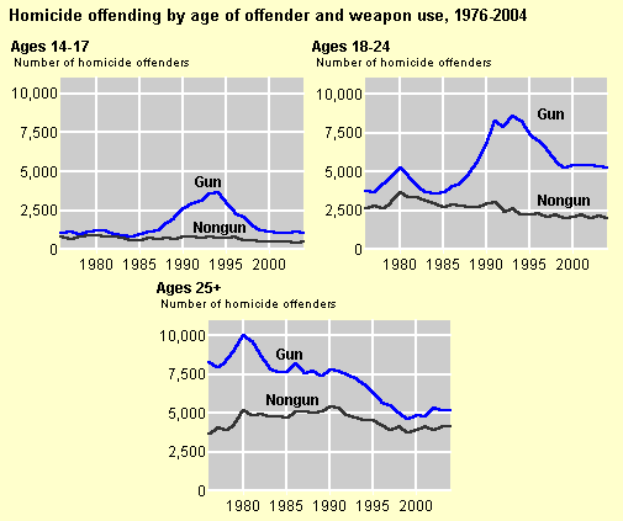 Eine Grafik, die die Tötungsdelikte nach Alter des Täters und Waffengebrauch von 1976 bis 2004 zeigt, mit begleitendem Text, der weitere Informationen bereitstellt.