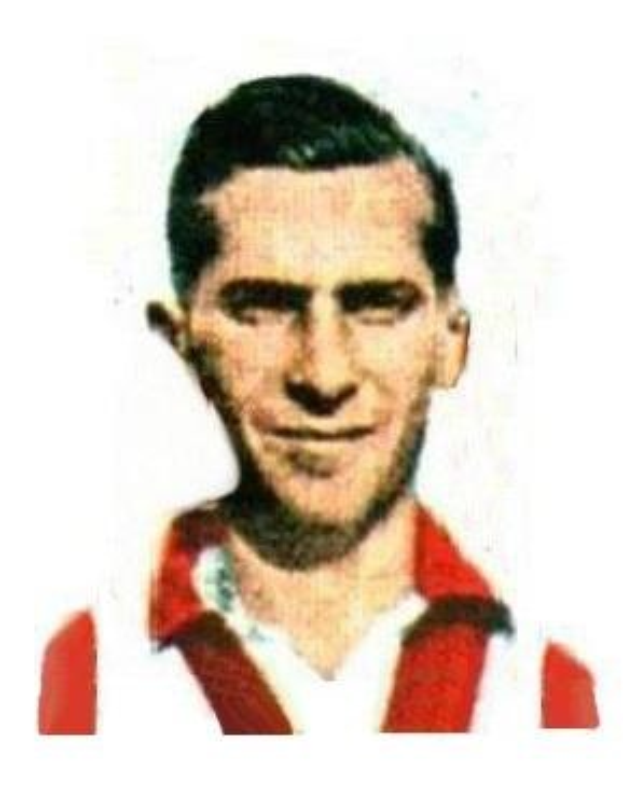 Portrait eines lachenden Mannes mit Bart, der ein rotes und weißes gestreiftes Hemd trägt, vor einem weißen Hintergrund.