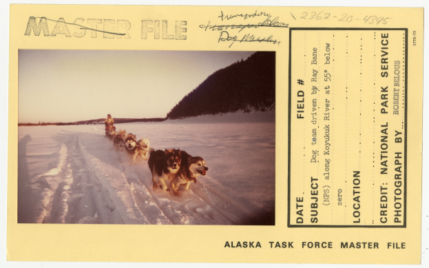 Eine Gruppe von Hunden, die einen Schlitten durch den Schnee ziehen, mit einer Person im Vordergrund, Hügel und einen klaren blauen Himmel im Hintergrund und ein Ticket mit Text auf der rechten Seite.