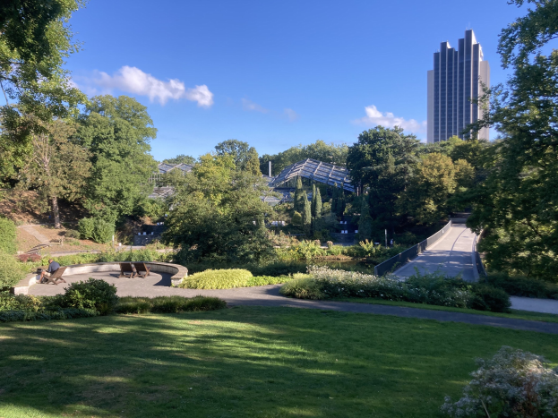 StadtService Natur & Umwelt lädt ein: Zwei Veranstaltungen zum Thema "Naturerlebnis in der Stadt"