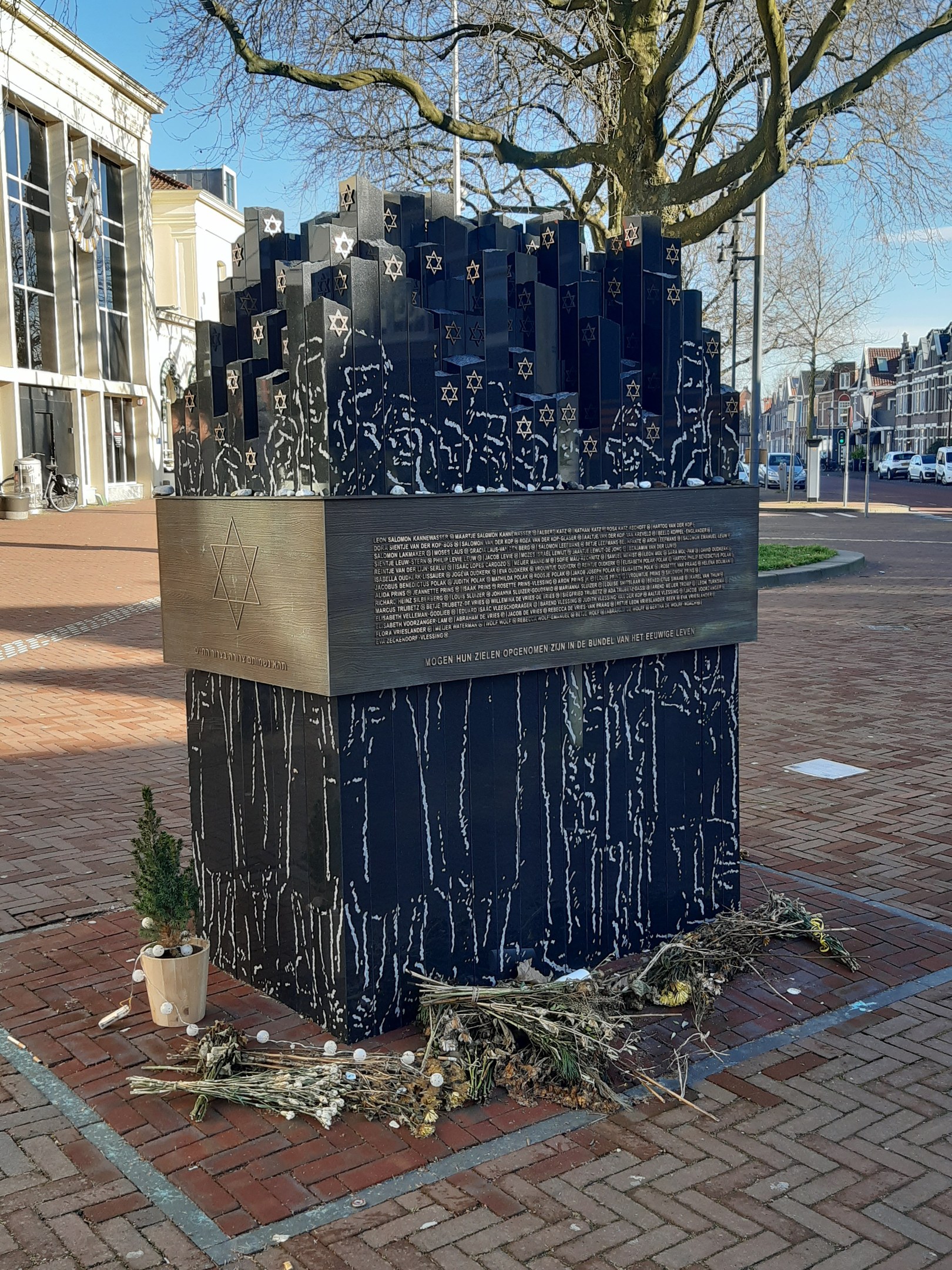 Denkmal in einem Stadtplatz für Holocaust-Opfer mit einem Baum davor, einem Topfgewächs, verstreuten trockenen Blättern und umliegenden Gebäuden, Fahrzeugen und Bäumen.