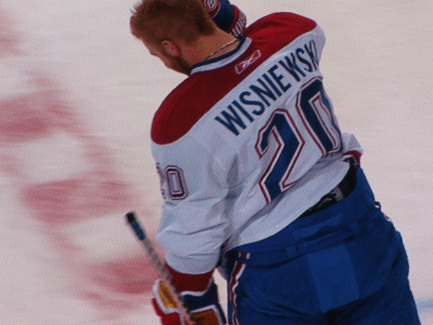 Professioneller Hockey-Spieler in einem "Wisniewski"-Trikot, der einen Hockey-Schläger auf dem Eis hält und konzentriert schaut.