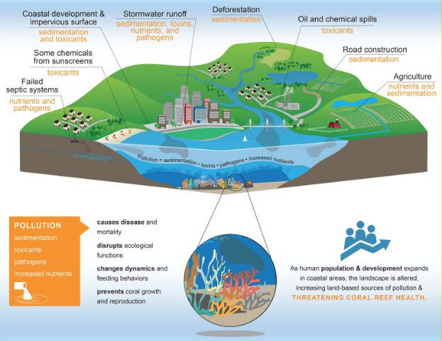 A poster diagram illustrating various ocean pollution sources, featuring a globe surrounded by coral reefs at the bottom, buildings, trees, and water in the center, with accompanying text.