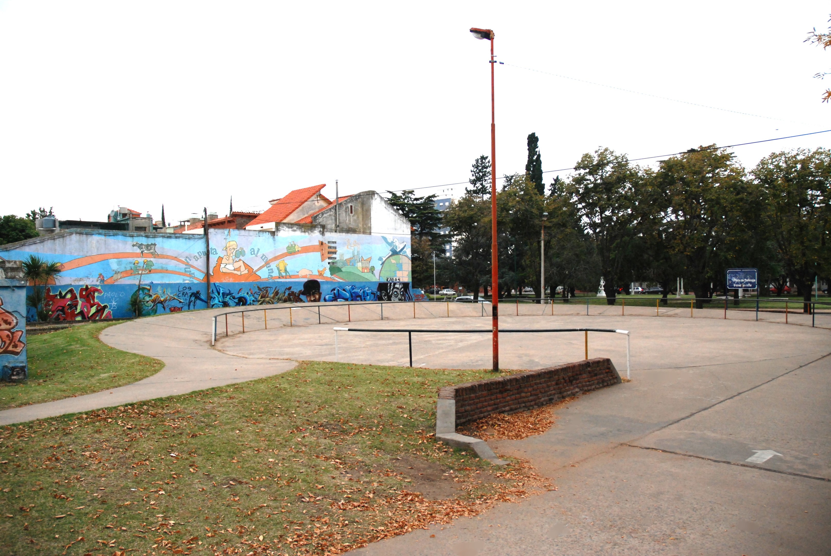 A skate park with a mural on a building, surrounded by grass, dried leaves, light poles, railings, and a painted wall, set against a backdrop of trees, buildings, vehicles, and sky.