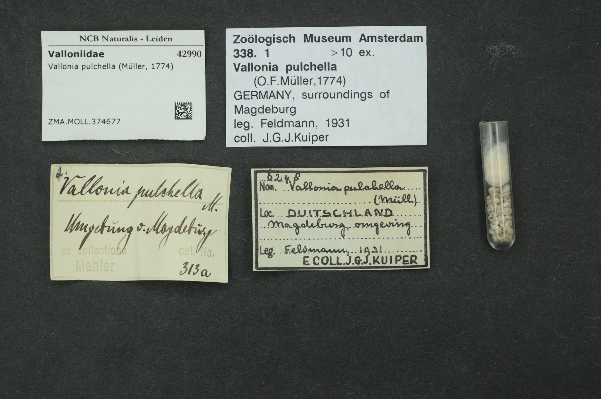 Assoziationsprodukte: Apotheken haben keine Testpflicht