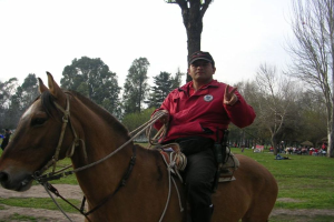 Eine Person auf einem Pferd mit Bäumen, Gras und einigen anderen Menschen im Hintergrund.