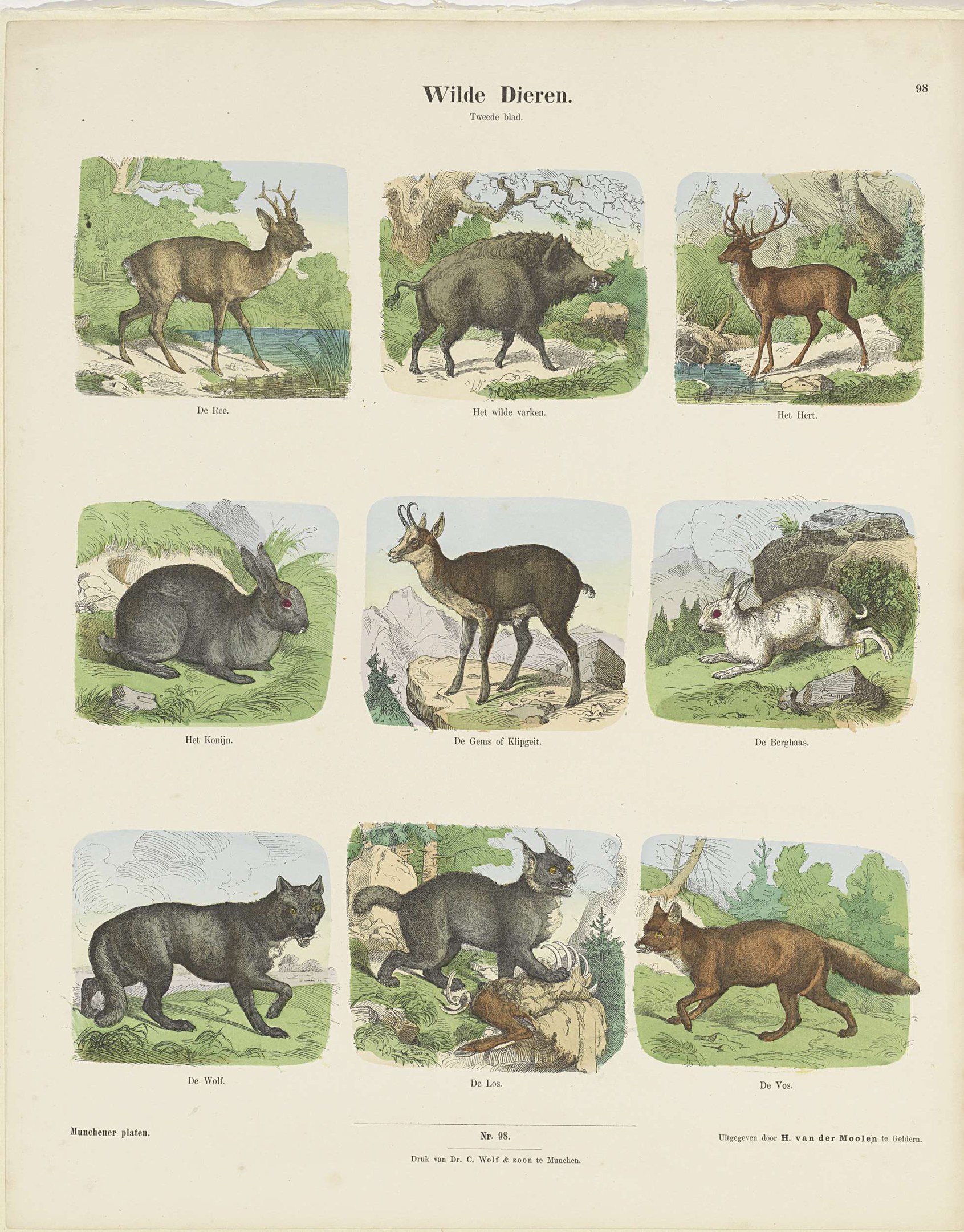 Buchumschlag mit Illustrationen von Wildtieren, einschließlich eines Rehs und Kaninchens, mit Text auf dem Papier.