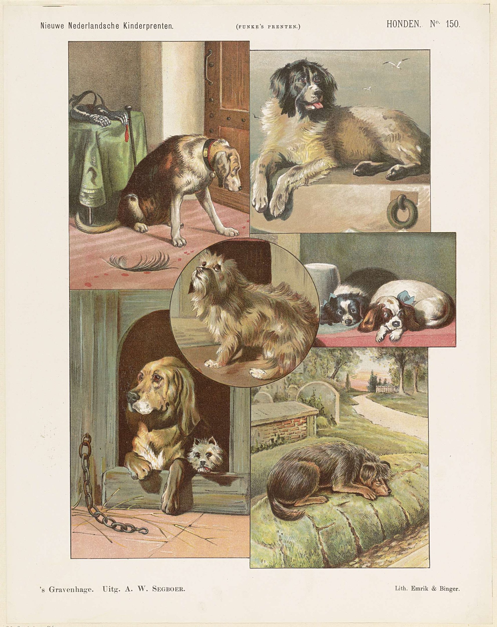 Eine Buchseite mit Abbildungen verschiedener Hunderassen neben beschreibendem Text.