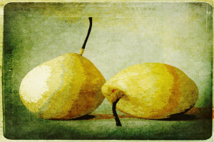 Zwei Früchte sind am unteren Bildrand positioniert.