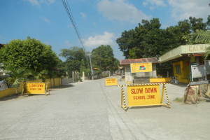 Eine Straße mit einem gelben "Slow Down School Zone"-Schild, geparkte Fahrzeuge auf der rechten Seite und Bäume, Gebäude, Pfosten, Drähte und den Himmel im Hintergrund.