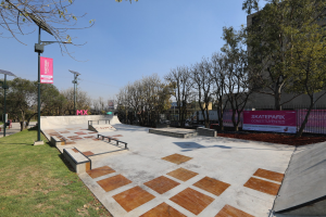 Ein Skatepark mit einer zentralen Rampe, umgeben von Bäumen, Gras, Laternen, Bannern und einem Zaun, mit Gebäuden und einem klaren blauen Himmel im Hintergrund.