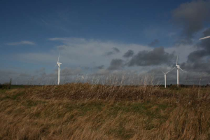 Ein Feld von Windkraftanlagen in einer grasbewachsenen Fläche mit Bäumen im Hintergrund und Wolken am Himmel, mit Text, der auf einen Windpark in den Niederlanden hinweist.
