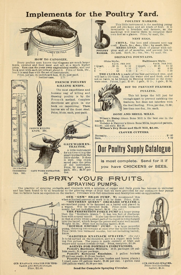 Alte Werbung für einen Hühnerhof mit Text und bunten Bildern von Hühnerprodukten, einschließlich Informationen zu Zutaten, Preisen und Anweisungen zur Verwendung.