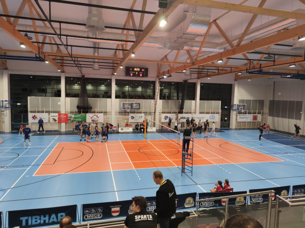 Handball-Profis bringen Kinder in Bewegung