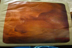 Ein Druck eines Menschen, der ein Baby h"lt, mit einigen Worten auf dem Cover.