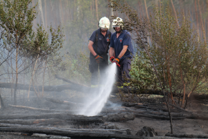 Zwei Feuerwehrleute in Helmen und Handschuhen verwenden einen Schlauch, um ein Waldfeuer zu löschen, mit Bäumen und Holzstöcken im Hintergrund.