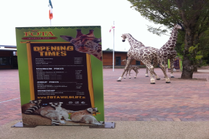 Giraffen stehen neben Bäumen, Schuppen und Flaggen, mit einer Tafel mit Text, Logos und Tierbildern.