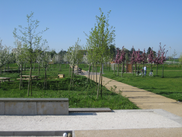Ein Park mit einem gewundenen Pfad, der von Bäumen und Bänken gesäumt ist, Menschen, die Fahrräder fahren, Gebäude im Hintergrund, ein klarer blauer Himmel und saftiges grünes Gras, das den Boden bedeckt.