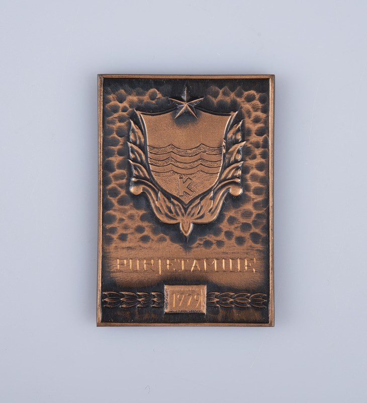 Bronze plaque featuring the Russian Air Force coat of arms with text, centered in the image.