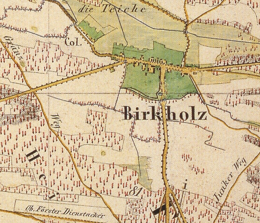 Detailed old map of Birkholz, Germany, with text annotations showing the city's layout.