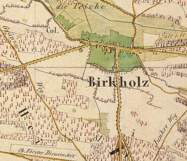 Detailed old map of Birkholz, Germany, with text annotations showing the city's layout.