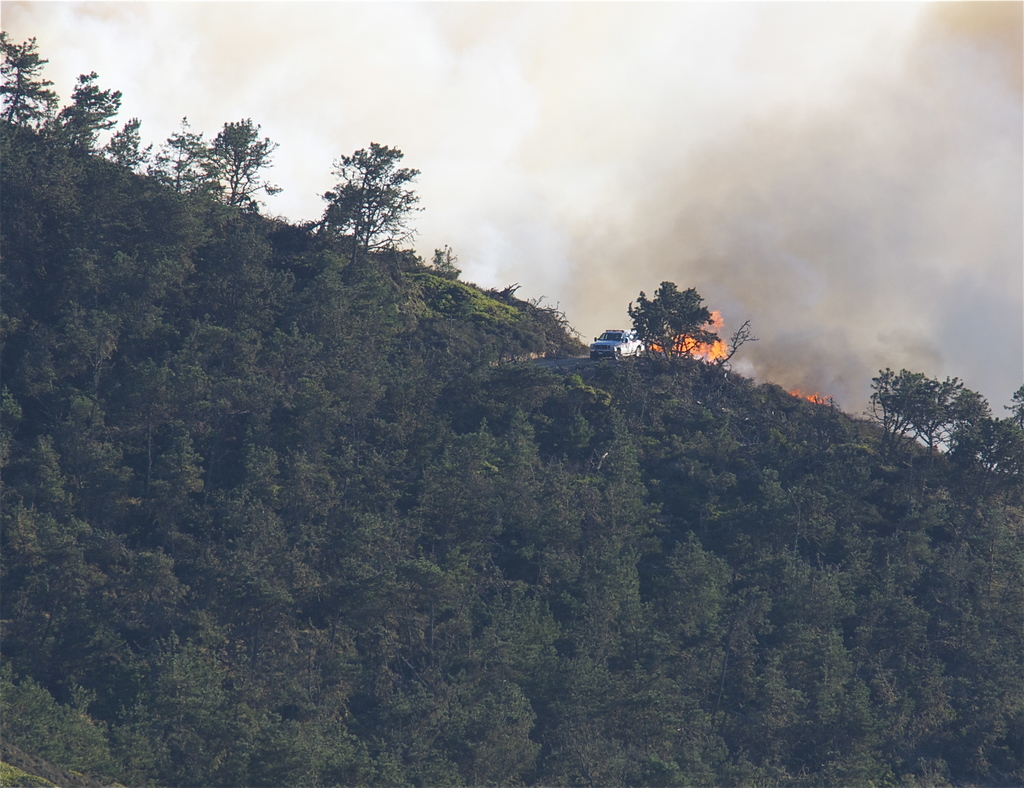 Ein Hügel mit zahlreichen Bäumen, ein Fahrzeug und ein Feuer mit Rauch.