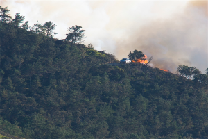 Ein Hügel mit zahlreichen Bäumen, ein Fahrzeug und ein Feuer mit Rauch.